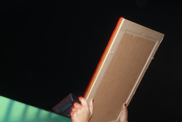 Un cuadro para Wisin y Yandel