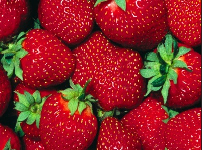 Fresas