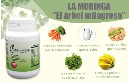 Moringa en pastillas