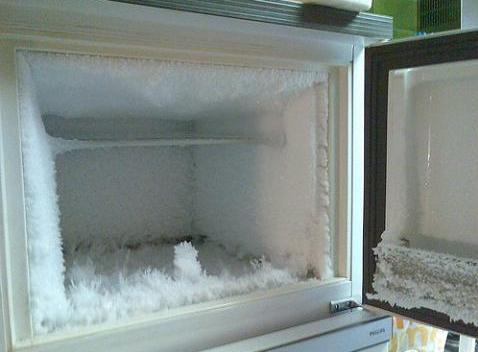 freezer congelador nevera