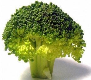 Brocoli