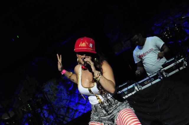 Pitbull en Altos de  Chavon (2)