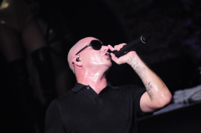 Pitbull en Altos de  Chavon (7)