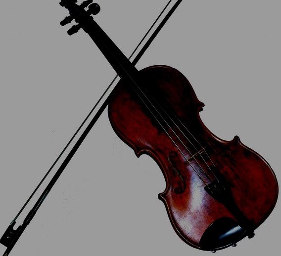 Violin