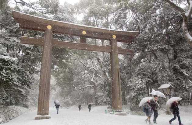 Nieve Japon
